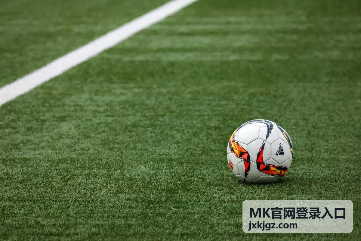 MK制造企业登录案例